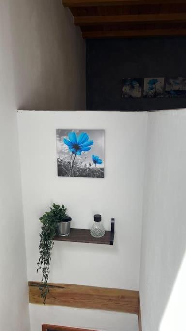 Ca La Trini Vivienda Vacacional 나바 외부 사진